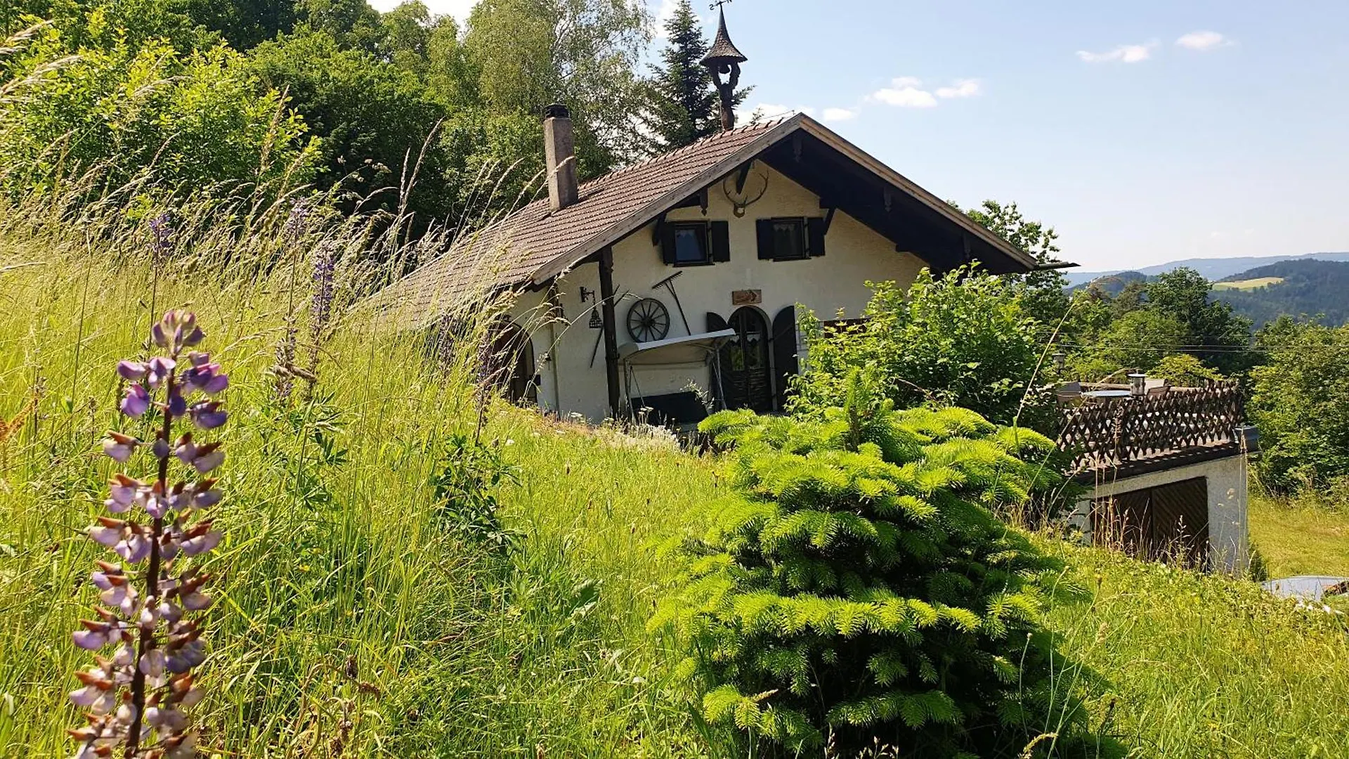 Unser Woidhaisl - Idyllisches Ferienhaus Im Bayerischen Wald Neukirchen  0*, Neukirchen (Lower Bavaria)